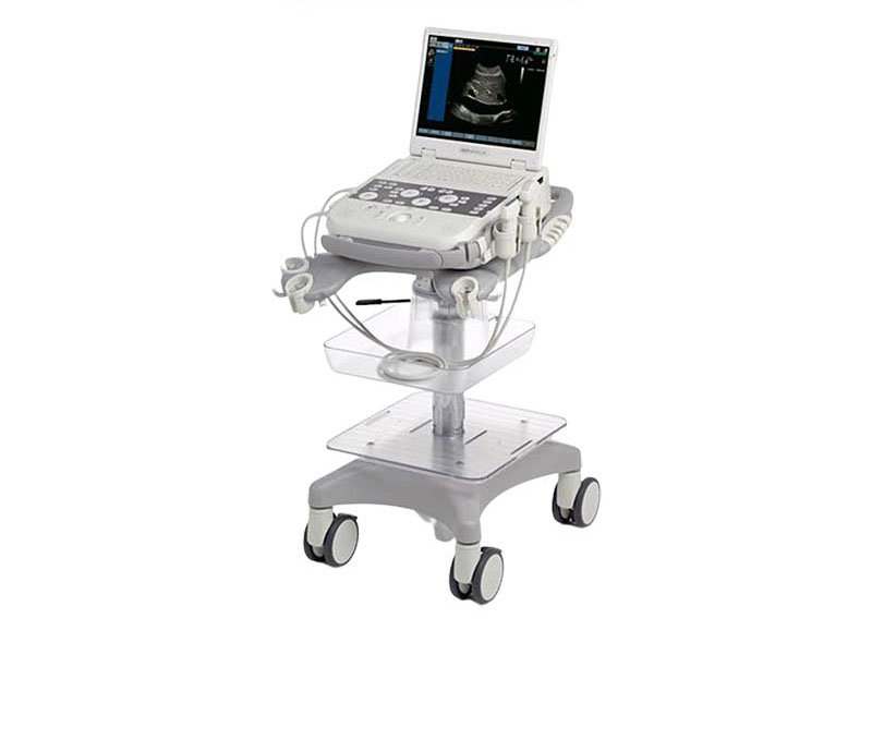 ASSISTENCIA TECNICA ACUSON P300 ULTRASSOM SIEMENS